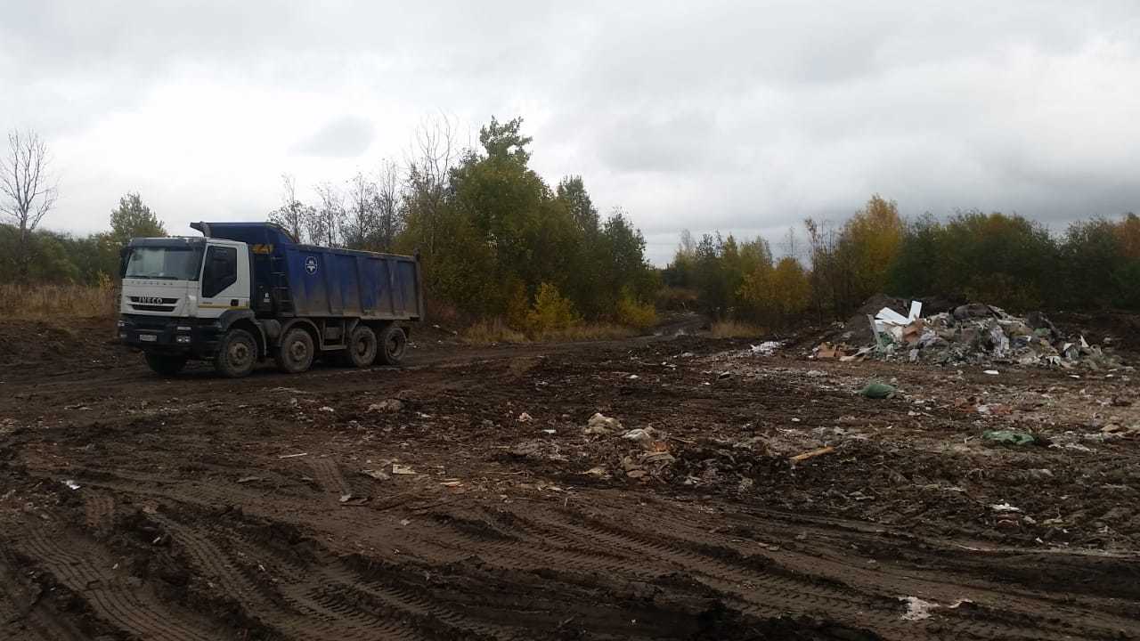 Фото: комитет по природопользованию, охране окружающей среды и обеспечению экологической безопасности